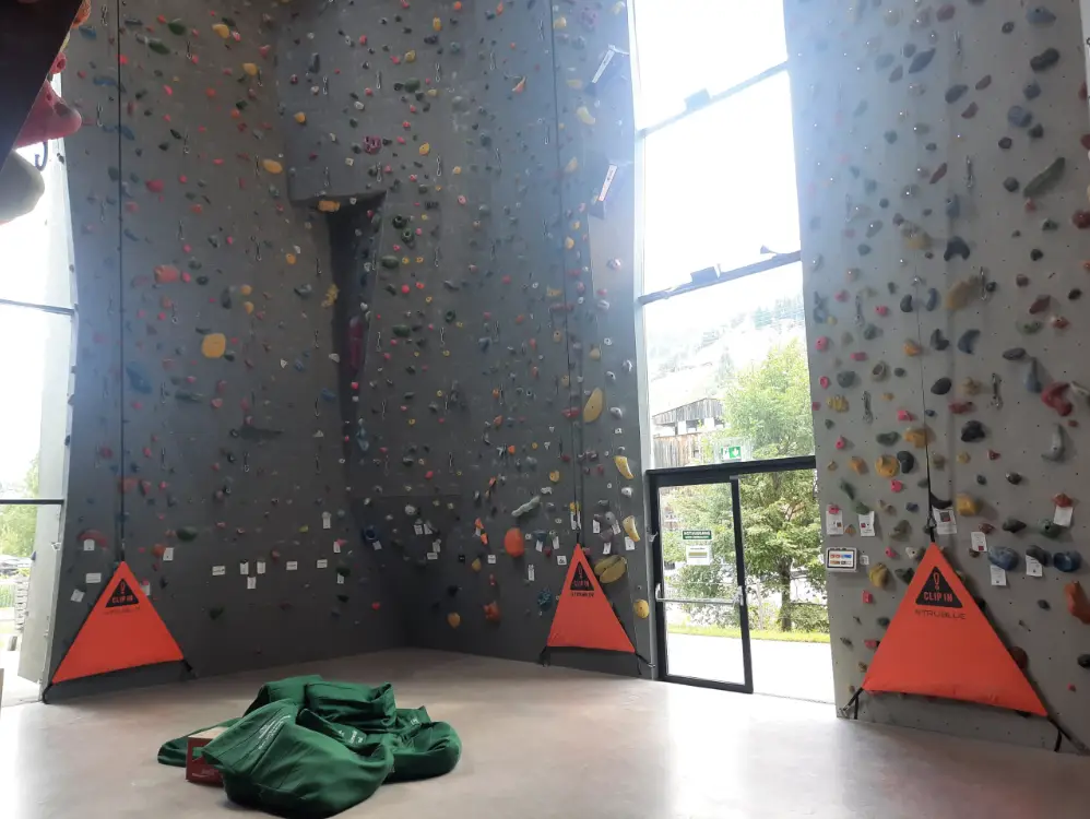 Autobelay
